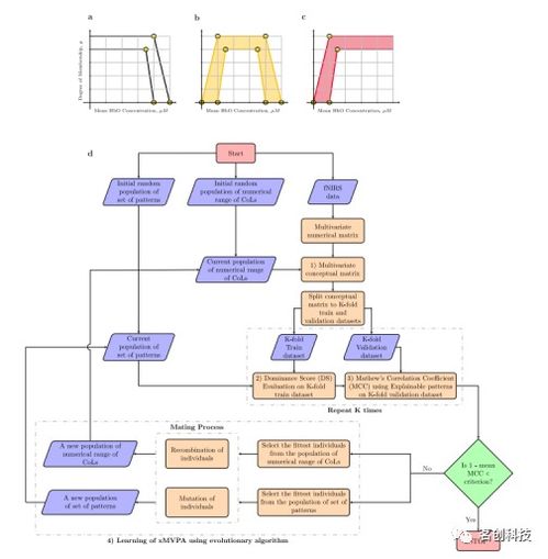 發展認知神經科學視域下基于可解釋人工智能模型的嬰兒fNIRS數據分析與基礎軟件開發