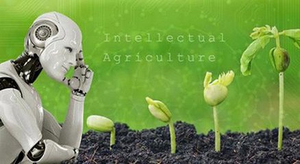 人工智能如何引領農(nóng)業(yè)的落地應用